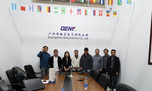 Последние новости компании о Трансграничное сотрудничество: инженеры EDMI обучены на заводе GENY для расширения партнерства